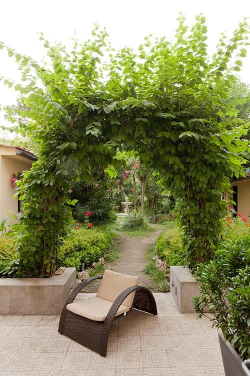 Hotel Novecento ปิซา ภายนอก รูปภาพ